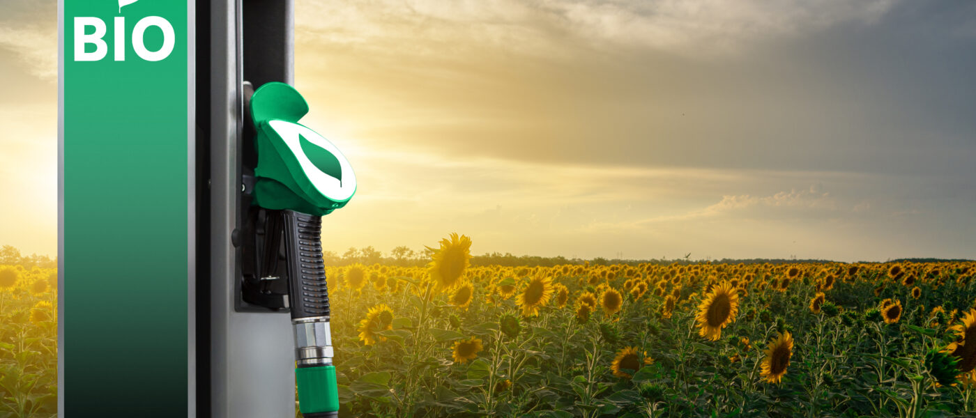 Biofuel station beside sunflower field.